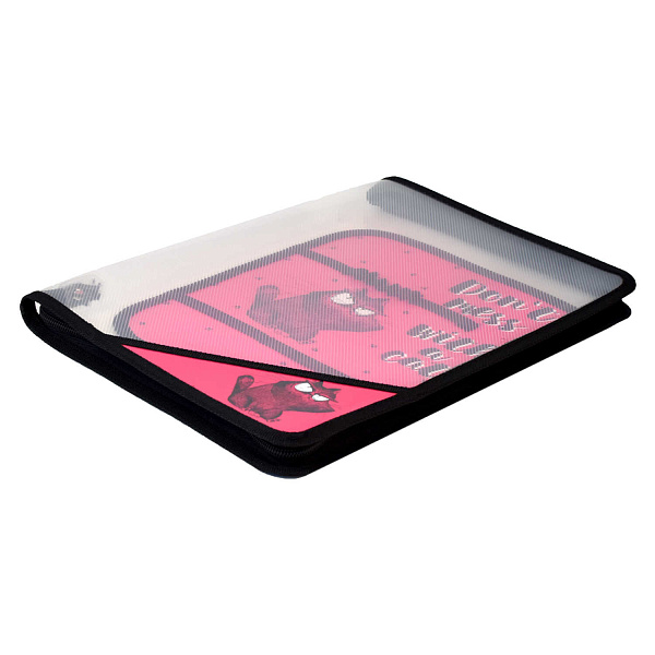 Папка для уроков труда пластиковая арт. / 12 КРЭЙЗИ КОТ (полипропилен, формат А4, 22.8x32.8 см, 1 отделение (-я), молния, внутренний разделитель с эластичными держателями для канцелярских принадл