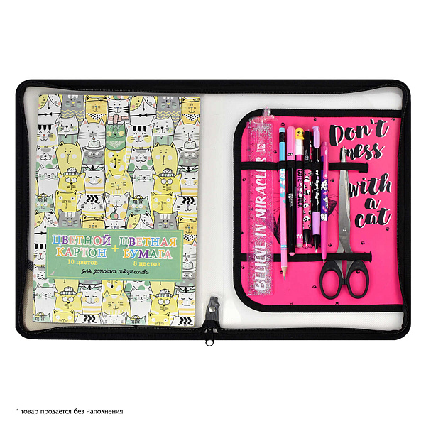 Папка для уроков труда пластиковая арт. / 12 КРЭЙЗИ КОТ (полипропилен, формат А4, 22.8x32.8 см, 1 отделение (-я), молния, внутренний разделитель с эластичными держателями для канцелярских принадл