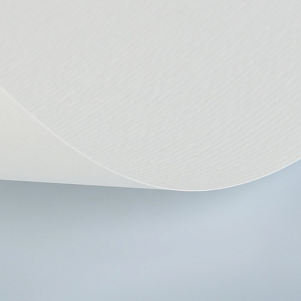 Бумага для пастели 50*65 25л. белый Цена за 1 лист