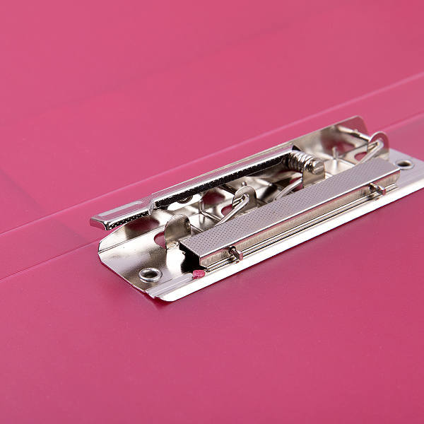 Папка с металлическим прижимом "Expert Complete"   Trend ICEberries A4   700 мкм  20 мм  1 шт. брусника