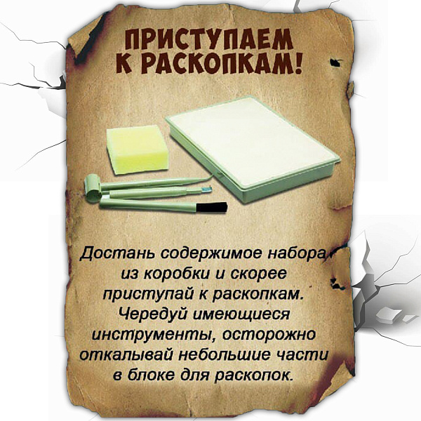 Исторические раскопки Науки с Буки Bondibon Ихтиозавр