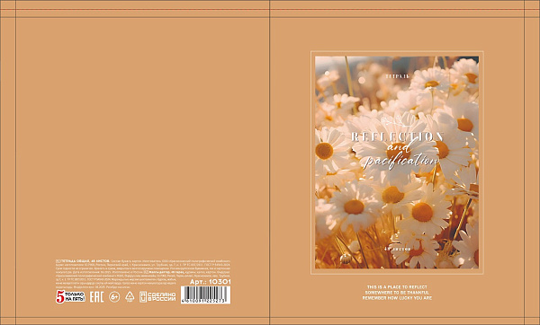 Тетрадь 48 листов, клетка, обложка мелованный картон, блок офсет, 5 видов микс