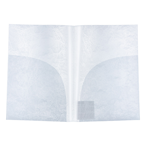 Папка - уголок А4 (2 кармана) "Expert Complete" Premier 180 мкм волокно прозрачный new