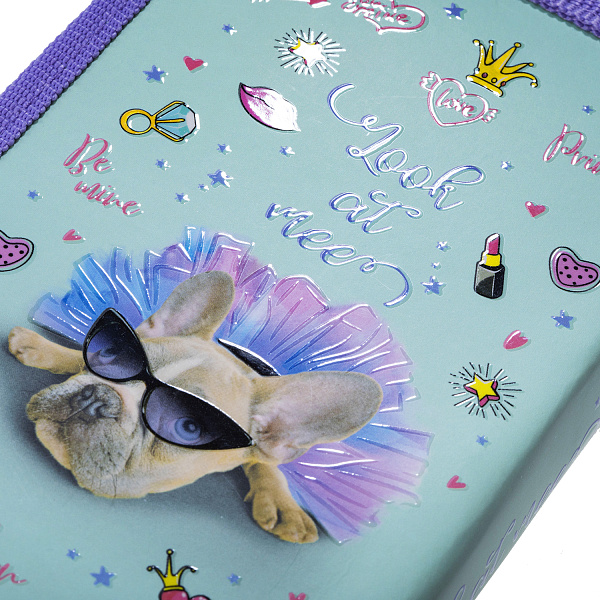 Пенал 1секц. д/дев. 190*115 Hatber "Модница"  с табл.умножения на молнии мат.ламин. 3D лак