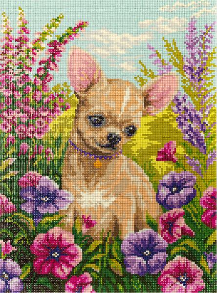 Алмазная мозаика 30*40 "ФРЕЯ" "Чихуахуа"