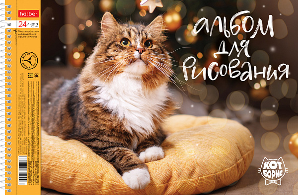 Альбом для рисования 24 листа на спирали "Кот Борис" перфорация на отрыв