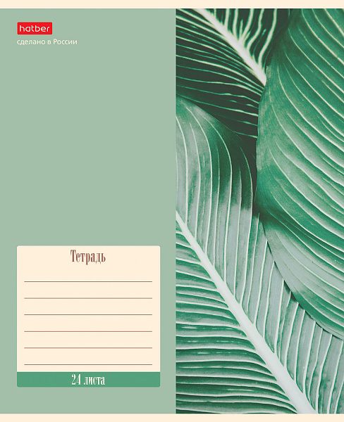 Тетрадь 24 листа в клетку "Nature" 65г/кв.м 5 диз.в блоке скругленные углы
