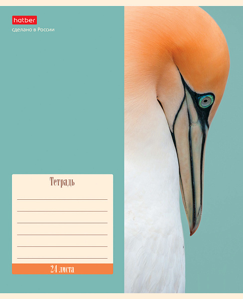 Тетрадь 24 листа в клетку "Nature" 65г/кв.м 5 диз.в блоке скругленные углы