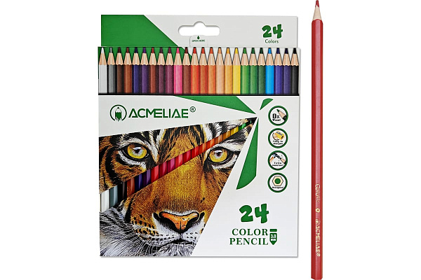 Карандаши 24 цв. ACMELIAE пластиковые шестигранные, в картонном футляре