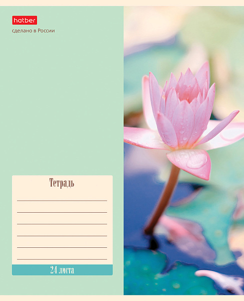Тетрадь 24 листа в линию "Flowers" 5 диз.в блоке скругленные углы