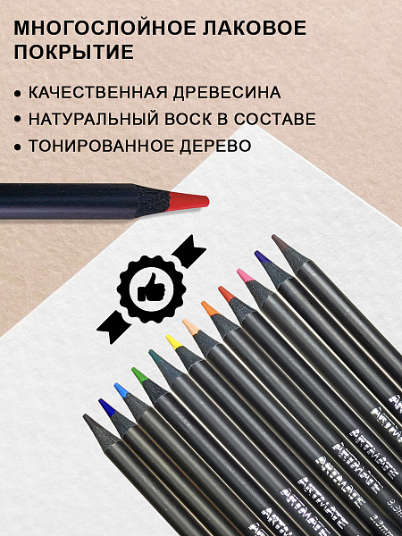 Карандаши 12 цв. акварельные ACMELIAE Blackwood +кисточка, металл футляр
