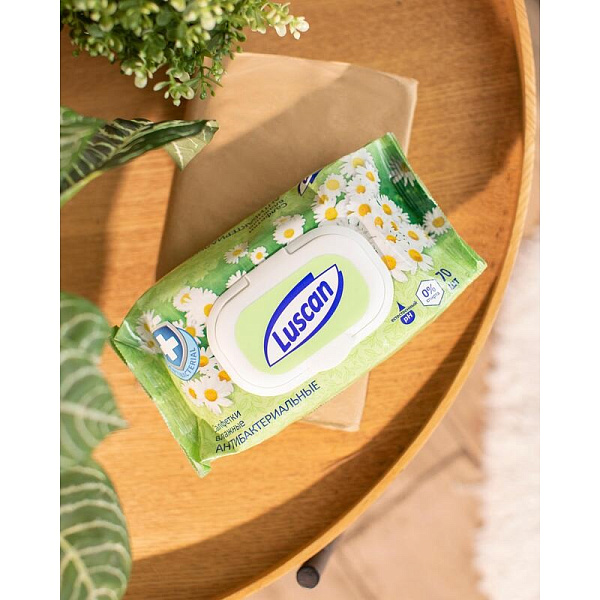 Салфетки влажные Luscan антибактериальные 70шт с крышкой