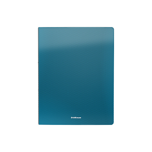 Папка файловая пластиковая ErichKrause® Diagonal Vivid, c 20 карманами, A4, ассорти (в пакете по 4 шт.)