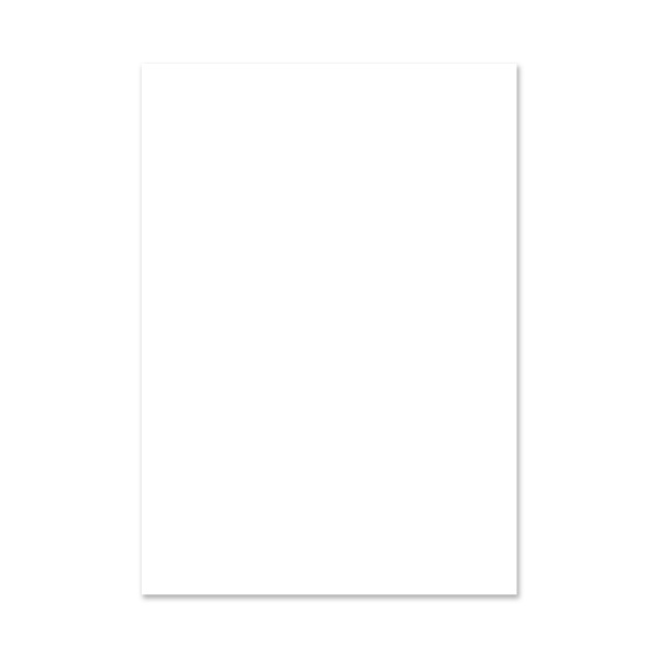 Папка для черчения А3 10 листов ErichKrause, без рамки