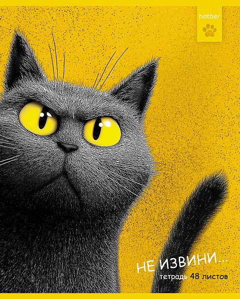 Тетрадь 48 листов в клетку "Пушистый философ" 60-65г/кв.м на скобе Обл. мел.картон тиснение 5 диз.в блоке скругл.углы