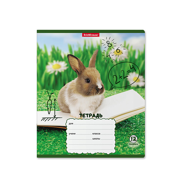 Тетрадь 12 л. лин. "Кролики" ErichKrause  (в плёнке по 10 шт.)_MIX-PACK