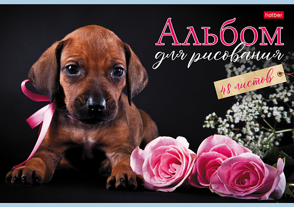 Альбом для рисования 48 листов "Наши пёсики"