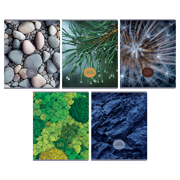 Тетрадь А5 48 листов в клетку, BG "Детали природы", обложка мелованный картон, вд-лак, 60 г/м2, эконом