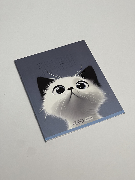 Тетрадь 12 листов в клетку обложка из мелованного картона (200г/м2), блок офсет (92%, 60г/м2), микс 5 видов