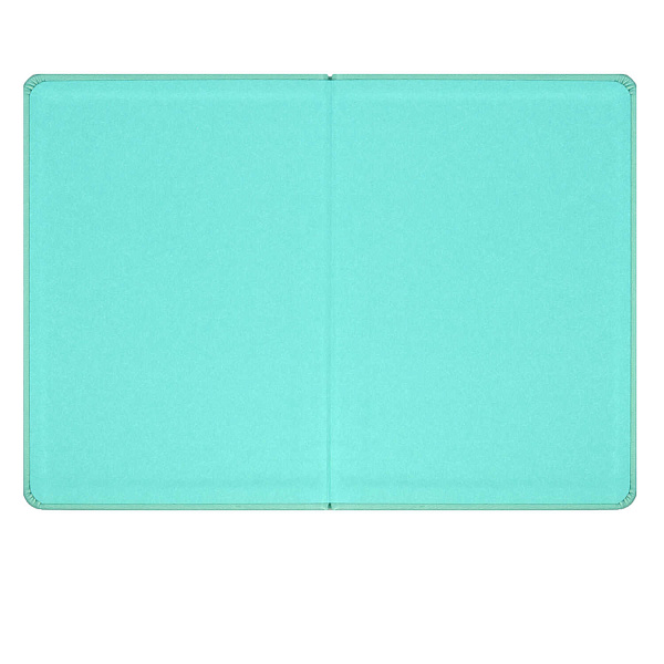 Записная книжка А6+ 96 л. "БАНТИК" (кожзам: 126x174 мм, тв. переплёт, материал обложки: искусственная кожа "Виннер", способ крепления блока: ниткошвейный, декор: тиснение фольгой,