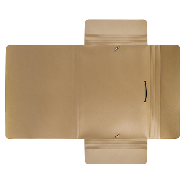 Папка на резинке А4 "Expert Complete" PRISMA 600 мкм  35 мм золотой