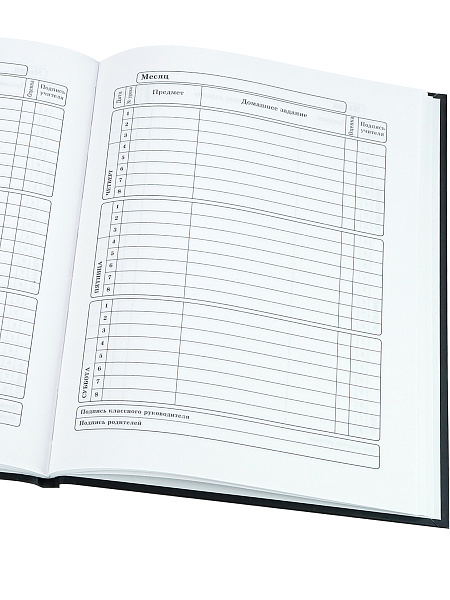 Дневник 5-11 кл. 48 л. тв.переплет "ГОРЯЩИЙ ЧЕРЕП" выборочный лак