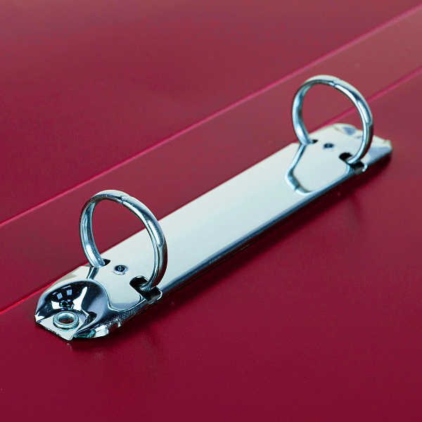 Папка 2 кольца 25 мм A4 "Expert Complete" PRISMA 700 мкм эффект 3D d - 20 мм рубиновый new EC211300126