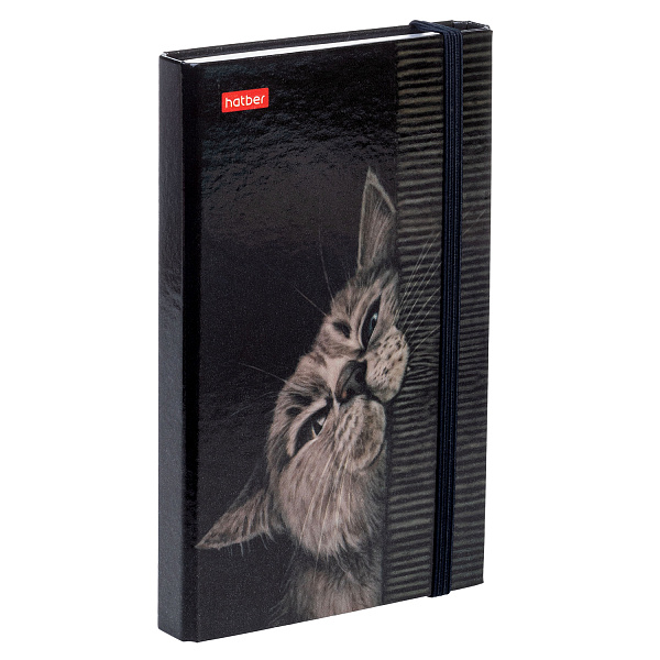 Записная книжка А6 80-50 л. на гребне "Мур-Мяу" с твердой обложкой с клапаном на резинке в индив.упак.