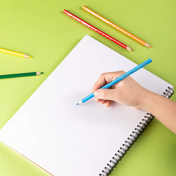 Карандаши 12 цв. Deli Enovation трехгран. пластик коробка/европод. 