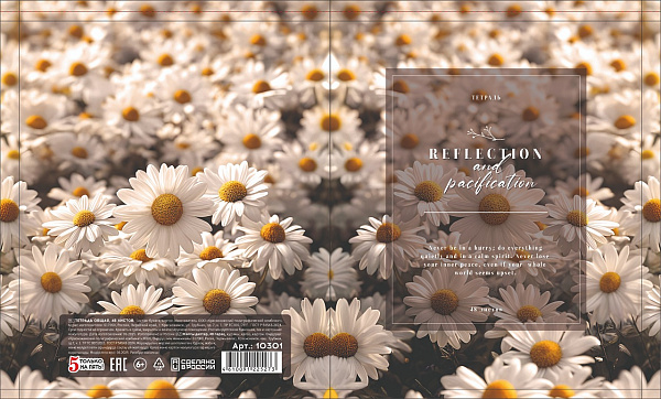 Тетрадь 48 листов, клетка, обложка мелованный картон, блок офсет, 5 видов микс