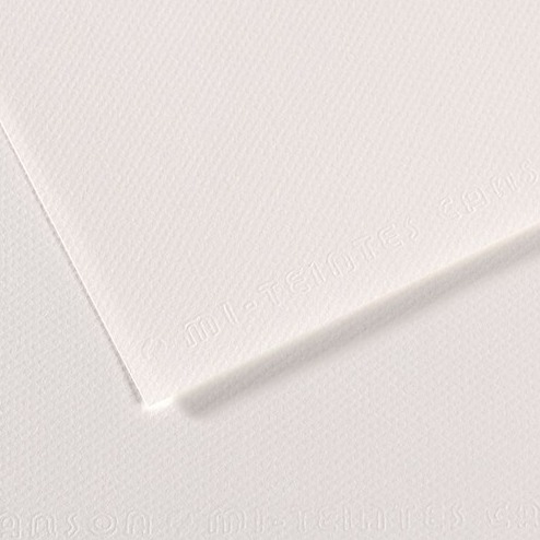 Бумага для пастели 350*500 "Палаццо" Snow (белоснежный) 160г ЦЕНА ЗА 1ЛИСТ (10л)