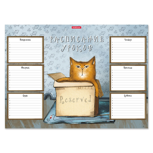 Расписание уроков А3 ErichKrause® Cat & Box