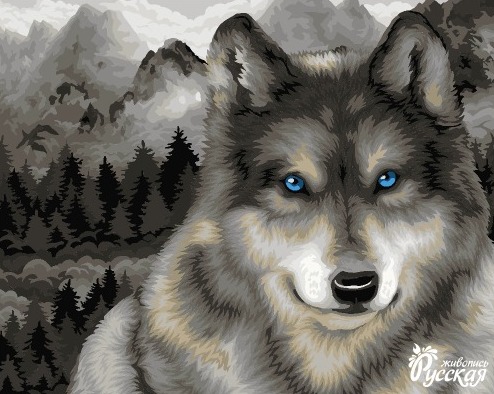 Картины по номерам 40*50 "Волк в туманном лесу"