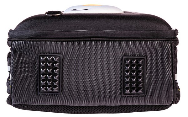 Рюкзак Hatber ERGONOMIC light -Сытый кот- 38Х29Х15см EVA материал нагрудная стяжка светоотраж. 2 отд