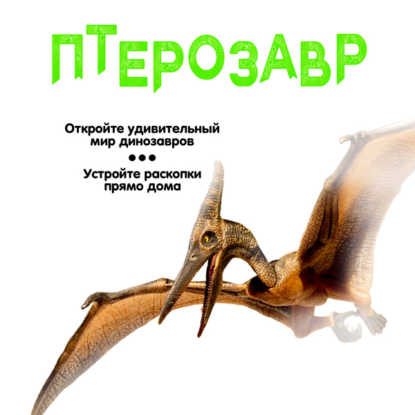 Исторические раскопки Науки с Буки Bondibon "Птерозавр (светящийся в темноте)