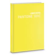 Тетрадь А5+ 96 л. лин. Pantone line. Color '21. No. 3 Интеграл. перепл., матов.ламин., выб.лак. Пан