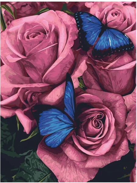 Картины по номерам 30*40 "Бабочки на розах"
