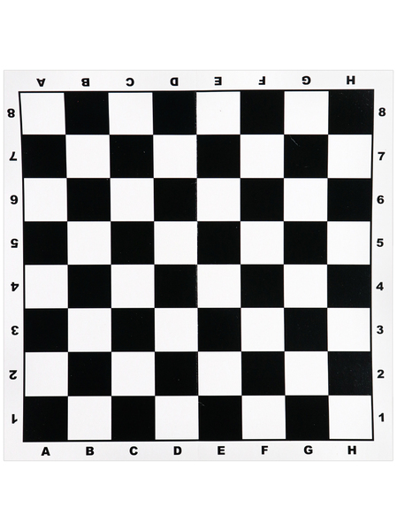 Шахматы, шашки "Рыжий кот" 28,5х28,5 см 2в1 6+ ПЛАСТИК в средней коробке с полями 