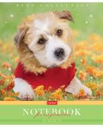 Тетрадь 48 л. кл. "Усы, лапы, хвост" 65г/кв.м 5 диз.в блоке скругл.углы 