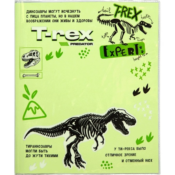 Обложка д/дневников и тетрадей "deVENTE. T-Rex" 355x213 мм, ПВХ 140 мкм, прозрачная с рисунком, 3 шт
