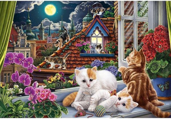 Картины по номерам 30*40 "Ночные котята" Холст с красками