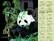 Календарь листовой 2024 А2 "Милая панда" 598х450мм бум. мелован. с укрупненной сеткой