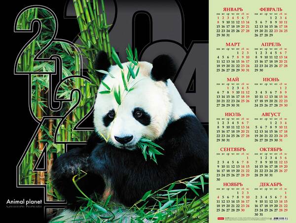 Календарь листовой 2024 А2 "Милая панда" 598х450мм бум. мелован. с укрупненной сеткой