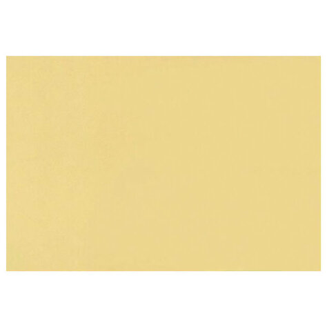 Бумага для пастели 500*650 "Tiziano" Банановый,160г/м.кв ЦЕНА ЗА 1ЛИСТ (10л)