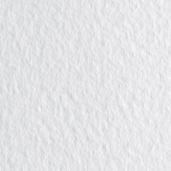 Бумага для пастели 500*650 "Tiziano" Белый,160г/м.кв ЦЕНА ЗА 1ЛИСТ (10л)