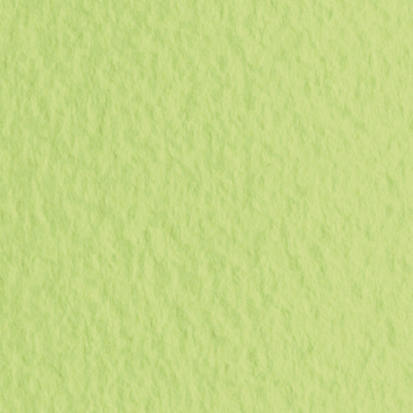 Бумага для пастели 500*650 "Tiziano" Салатовый тёплый ,160г/м.кв ЦЕНА ЗА 1ЛИСТ (10л)