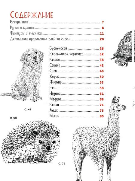 Книга: Рисуем животных ручками и маркерами: 26 реалистичных проектов. Д. Л. Миллер 