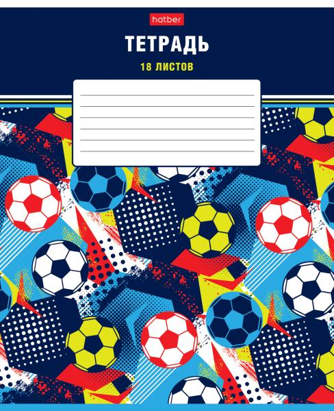 Тетрадь 18 л. кл. "Для мальчиков" 65г/кв.м 5 диз.в блоке скругл.углы