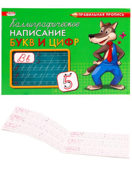 Пропись А5 КАЛЛИГРАФИЧЕСКОЕ НАПИСАНИЕ БУКВ И ЦИФР альбомный 8 л., обл.-цветная мелов.бумага