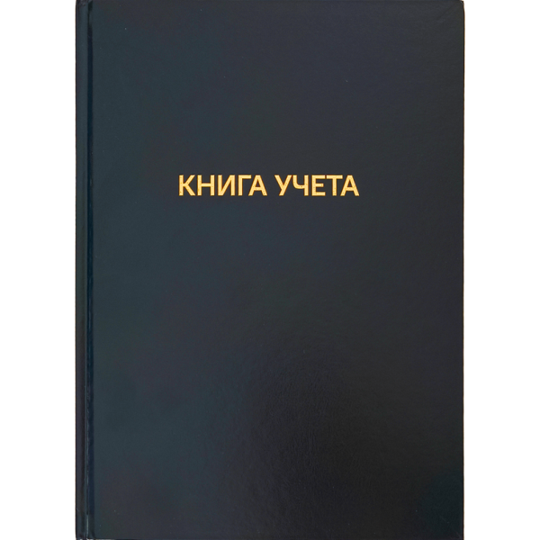 Книга учета 144 л. кл. бумвинил "deVENTE" A4, офсет 60 г/м², 92% белизна, тиснение фольгой